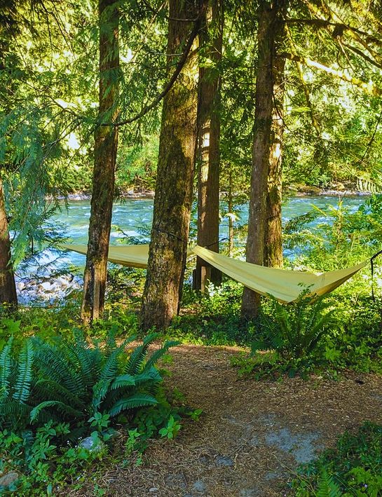 A hammock strung between trees beside the river