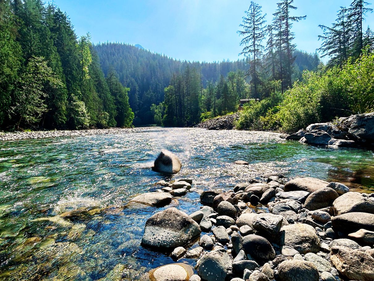 The river winding through deep evergreen forest